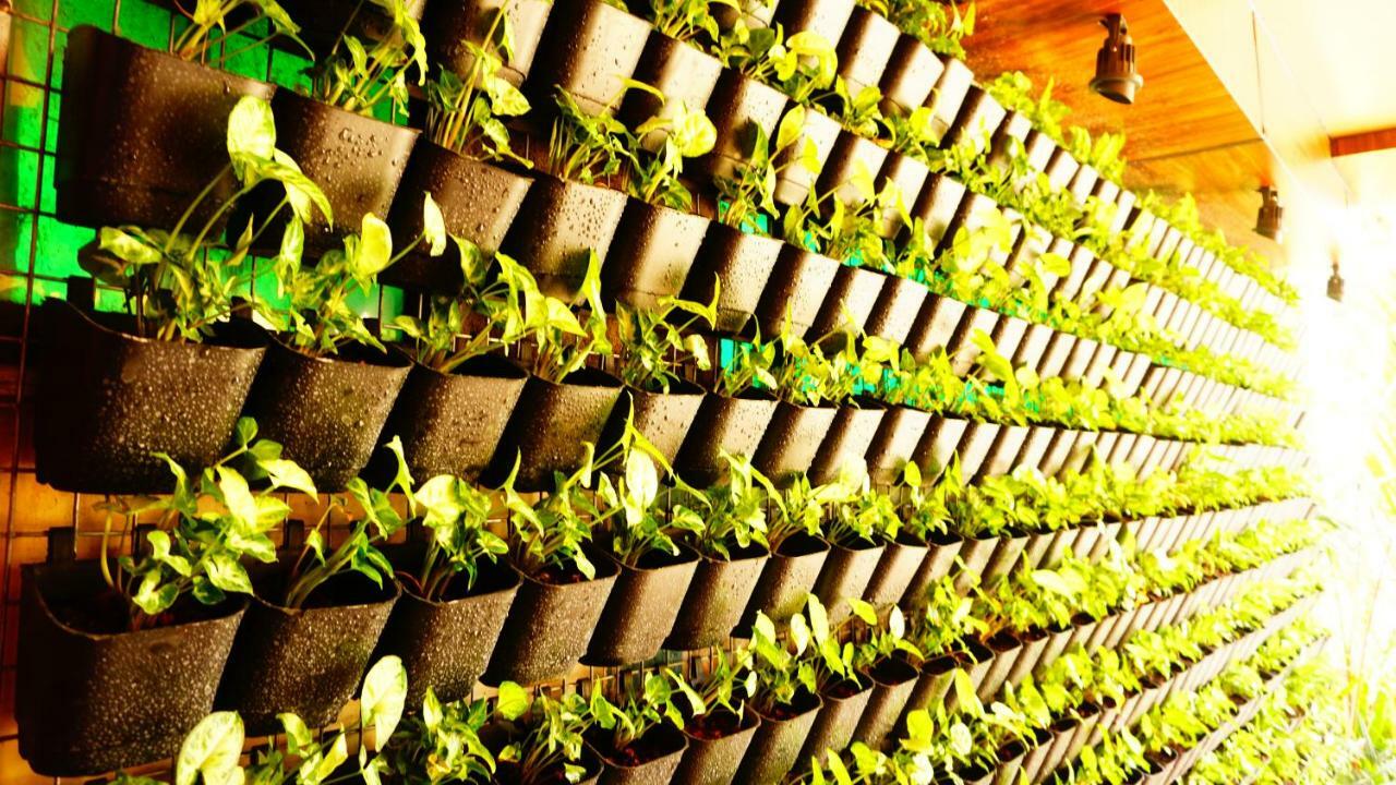 Thayamkery'S Royal Inn Kochi Ngoại thất bức ảnh